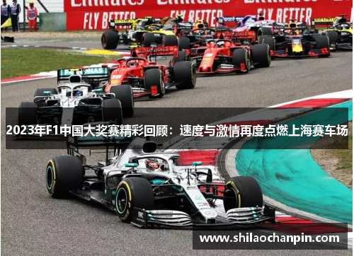 2023年F1中国大奖赛精彩回顾：速度与激情再度点燃上海赛车场