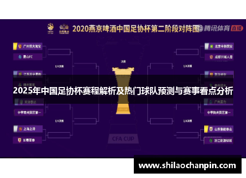 2025年中国足协杯赛程解析及热门球队预测与赛事看点分析