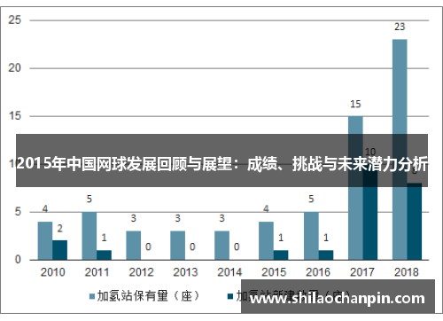 2015年中国网球发展回顾与展望：成绩、挑战与未来潜力分析