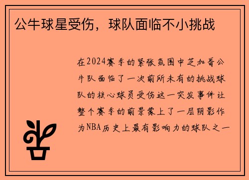 公牛球星受伤，球队面临不小挑战